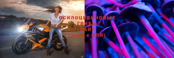 mdpv Арсеньев