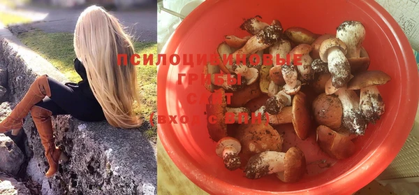 дурь Аркадак