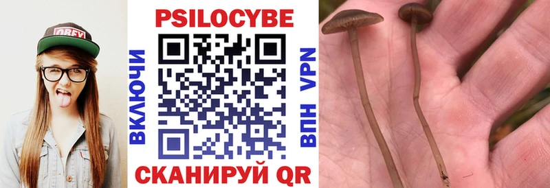 Галлюциногенные грибы MAGIC MUSHROOMS Венёв